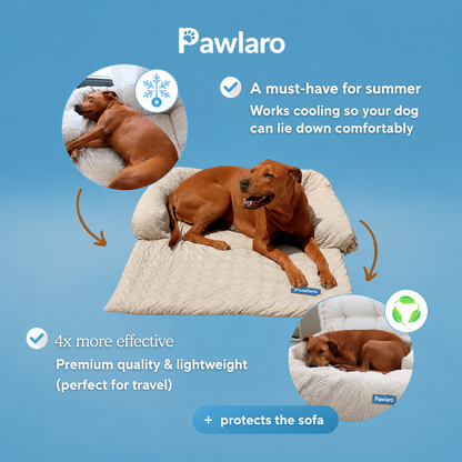 Luxury Self-Cooling Bed Pawlaro