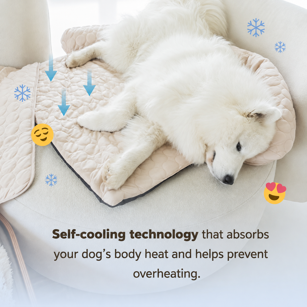 Luxury Self-Cooling Bed Pawlaro