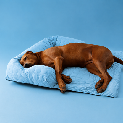 Luxury Self-Cooling Bed Pawlaro