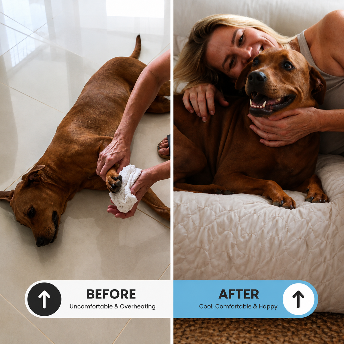 Luxury Self-Cooling Bed Pawlaro