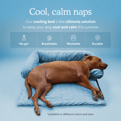 Luxury Self-Cooling Bed Pawlaro