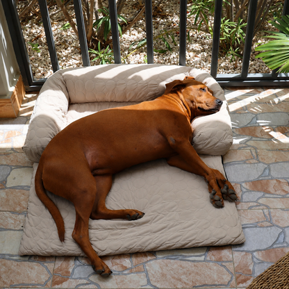 Luxury Self-Cooling Bed Pawlaro