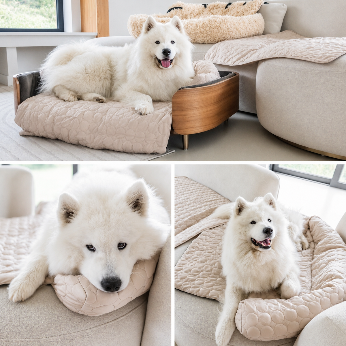 Luxury Self-Cooling Bed Pawlaro
