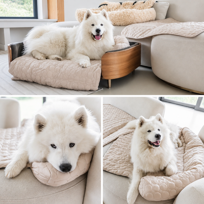 Luxury Self-Cooling Bed Pawlaro