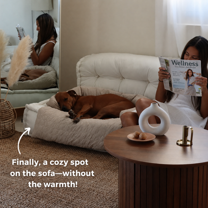 Luxury Self-Cooling Bed Pawlaro