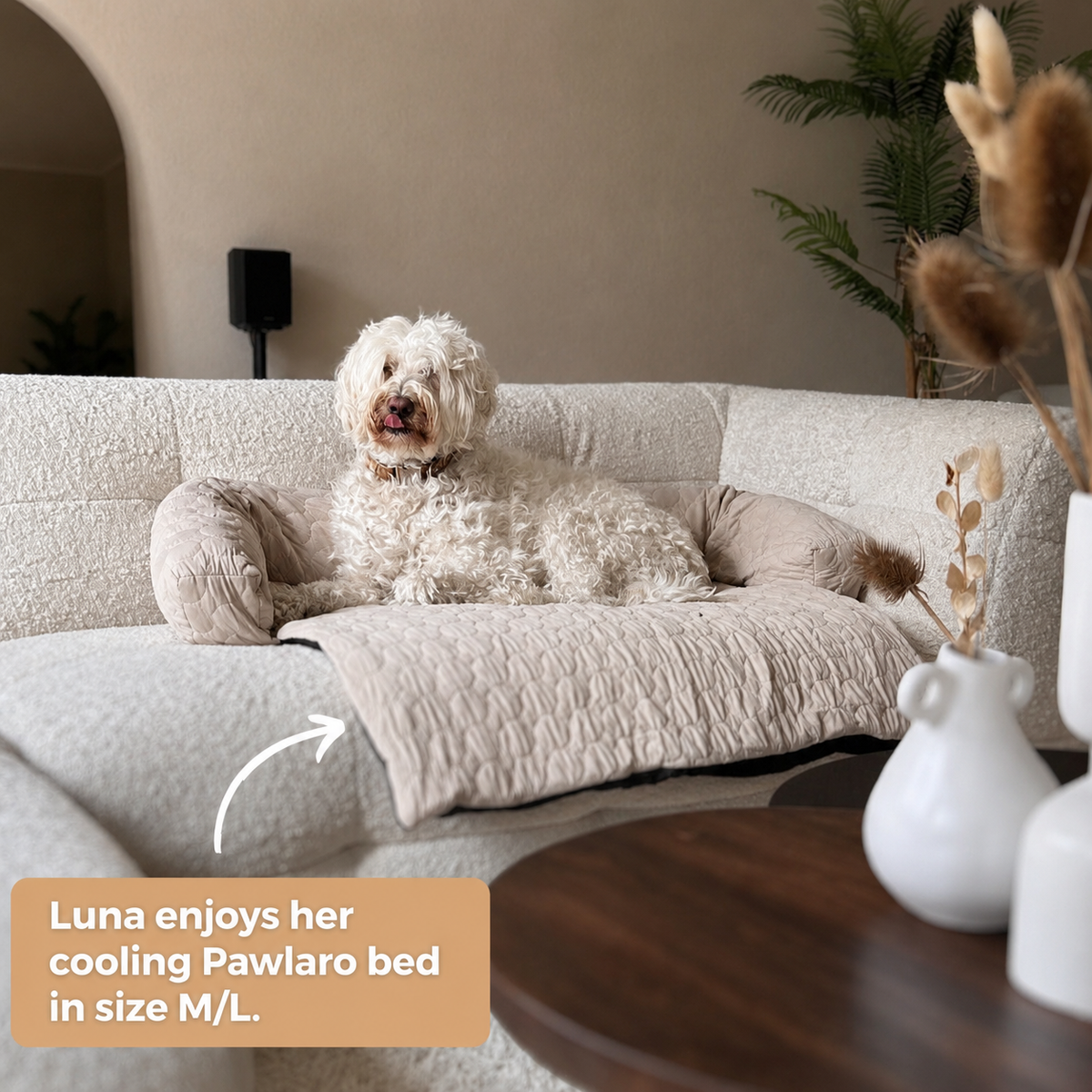 Luxury Self-Cooling Bed Pawlaro