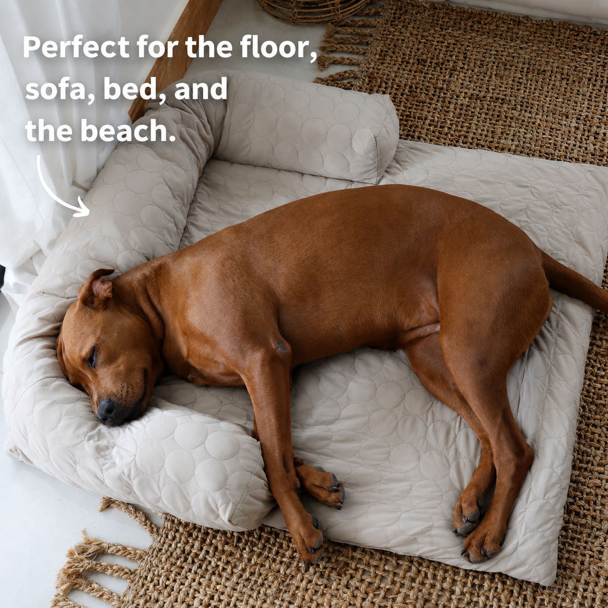 Luxury Self-Cooling Bed Pawlaro