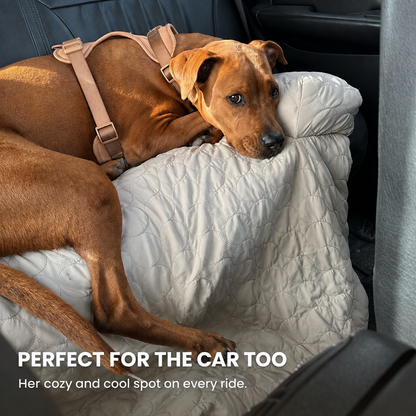 Luxury Self-Cooling Bed Pawlaro