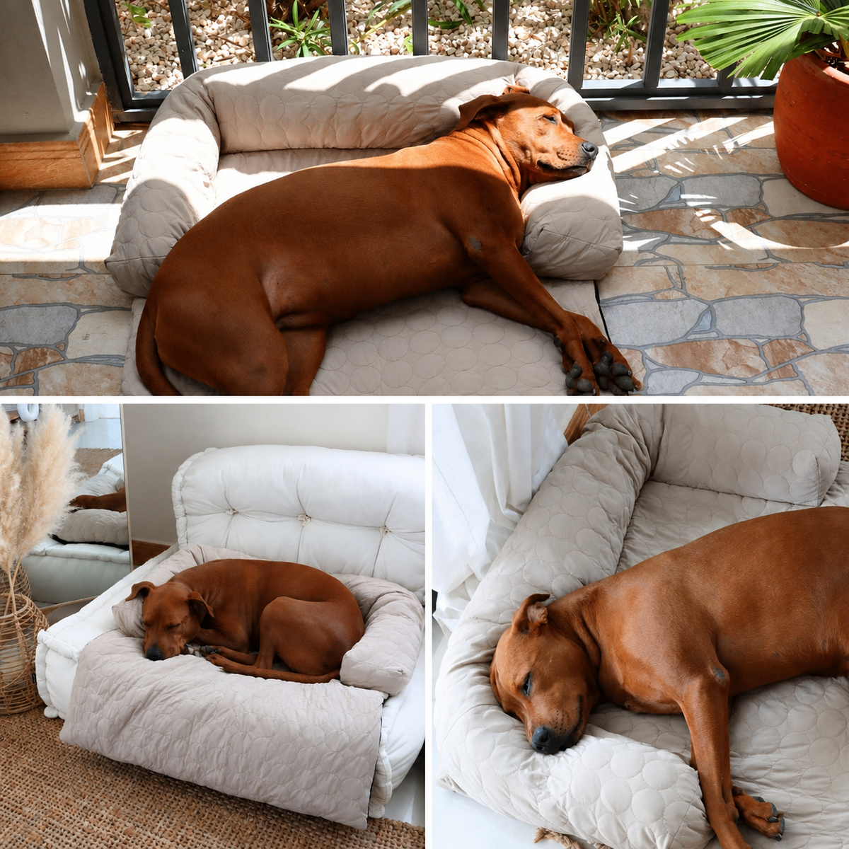 Luxury Self-Cooling Bed Pawlaro