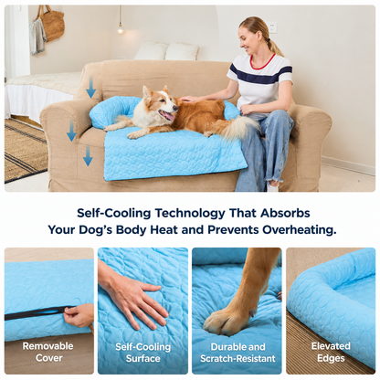 Luxury Self-Cooling Bed Pawlaro