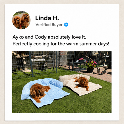 Luxury Self-Cooling Bed Pawlaro